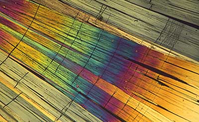 50 kb JPG microphoto of a benzoic acid crystal by Doug Craft