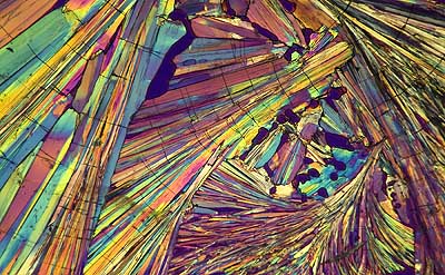 50 kb JPG microphoto of a benzoic acid crystal by Doug Craft