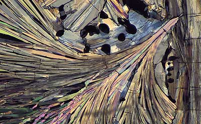 50 kb JPG microphoto of a benzoic acid crystal by Doug Craft