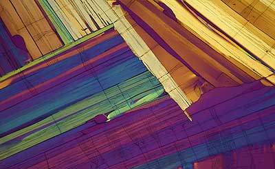 50 kb JPG microphoto of a benzoic acid crystal by Doug Craft