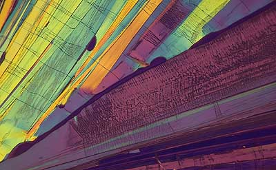 50 kb JPG microphoto of a benzoic acid crystal by Doug Craft