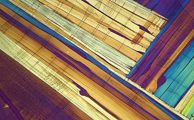 50 kb JPG microphoto of a benzoic acid crystal by Doug Craft