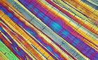 25-30 kb thumbnail JPG image of microphotograph by Doug Craft - links to larger image in right frame