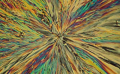 50 kb JPG microphoto of a benzoic acid crystal by Doug Craft