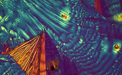 50 kb JPG microphoto of a KHP crystal by Doug Craft