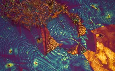 50 kb JPG microphoto of a KHP crystal by Doug Craft