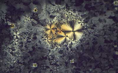 50 kb JPG microphoto of a KHP crystal by Doug Craft