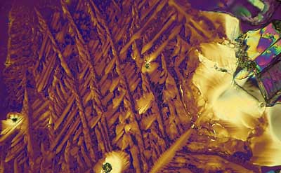 50 kb JPG microphoto of a KHP crystal by Doug Craft