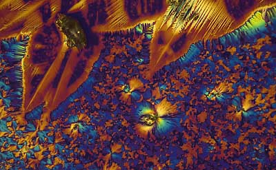 50 kb JPG microphoto of a KHP crystal by Doug Craft