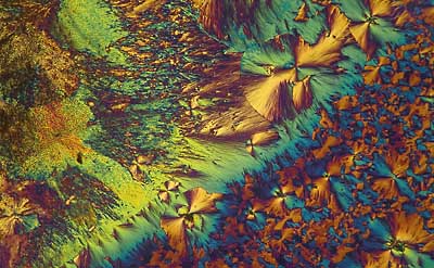 50 kb JPG microphoto of a KHP crystal by Doug Craft