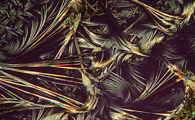 50 kb JPG microphoto of a KHP crystal by Doug Craft