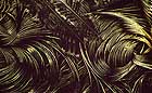 25-30 kb thumbnail JPG image of microphotograph by Doug Craft - links to larger image in right frame