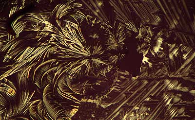 50 kb JPG microphoto of a KHP crystal by Doug Craft