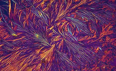 50 kb JPG microphoto of a KHP crystal by Doug Craft