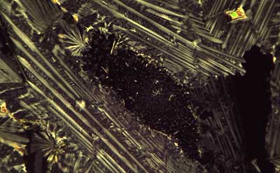 50 kb JPG microphoto of a KHP crystal by Doug Craft