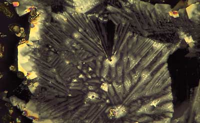 50 kb JPG microphoto of a KHP crystal by Doug Craft