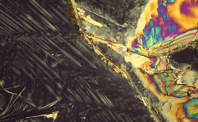 50 kb JPG microphoto of a KHP crystal by Doug Craft