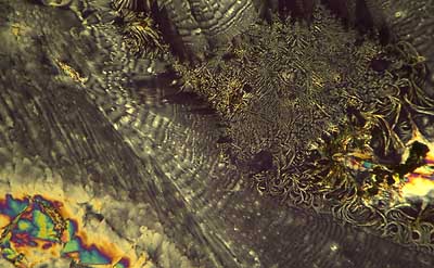 50 kb JPG microphoto of a KHP crystal by Doug Craft