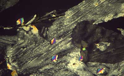50 kb JPG microphoto of a KHP crystal by Doug Craft