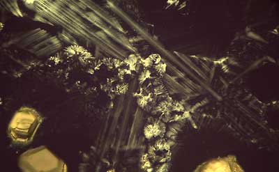 50 kb JPG microphoto of a KHP crystal by Doug Craft