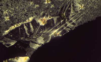 50 kb JPG microphoto of a KHP crystal by Doug Craft