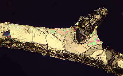 50 kb JPG microphoto of a KHP crystal by Doug Craft