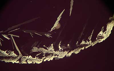 50 kb JPG microphoto of a KHP crystal by Doug Craft