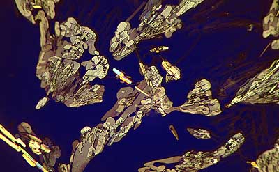 50 kb JPG microphoto of a precipitation crystal by Doug Craft