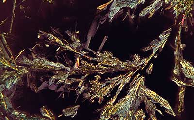 50 kb JPG microphoto of a precipitation crystal by Doug Craft