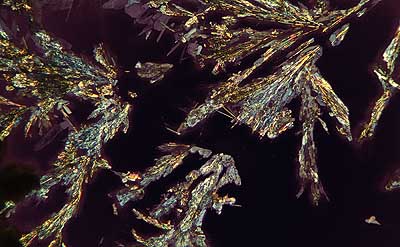 50 kb JPG microphoto of a precipitation crystal by Doug Craft