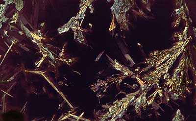 50 kb JPG microphoto of a precipitation crystal by Doug Craft