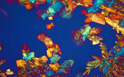 50 kb JPG microphoto of a precipitation crystal by Doug Craft