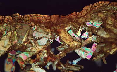 50 kb JPG microphoto of a precipitation crystal by Doug Craft