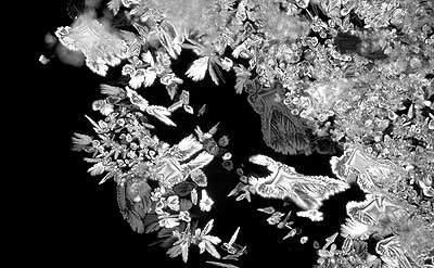 50 kb JPG microphoto of a precipitation crystal by Doug Craft