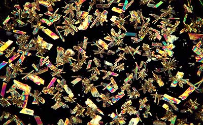 50 kb JPG microphoto of a precipitation crystal by Doug Craft