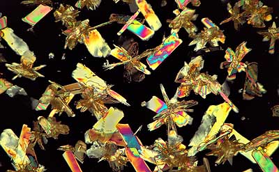 50 kb JPG microphoto of a precipitation crystal by Doug Craft