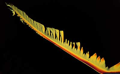 50 kb JPG microphoto of a precipitation crystal by Doug Craft