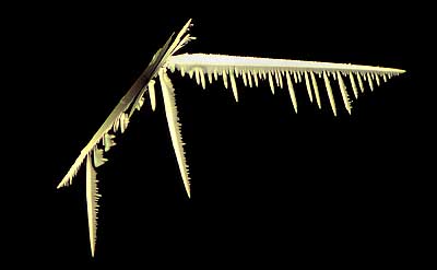 50 kb JPG microphoto of a precipitation crystal by Doug Craft