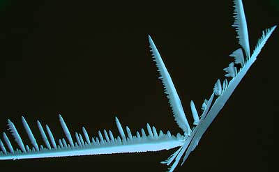 50 kb JPG microphoto of a precipitation crystal by Doug Craft