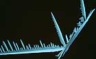 25-30 kb thumbnail JPG image of microphotograph by Doug Craft - links to larger image in right frame