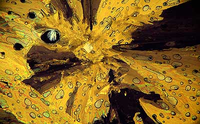 50 kb JPG microphoto of a precipitation crystal by Doug Craft