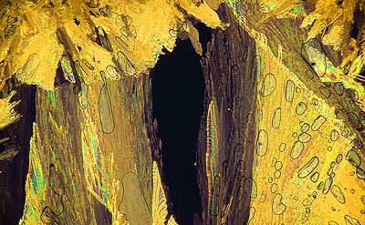 50 kb JPG microphoto of a precipitation crystal by Doug Craft