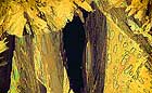 25-30 kb thumbnail JPG image of microphotograph by Doug Craft - links to larger image in right frame
