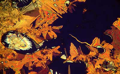 50 kb JPG microphoto of a precipitation crystal by Doug Craft