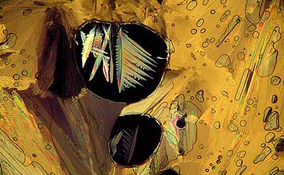 50 kb JPG microphoto of a precipitation crystal by Doug Craft