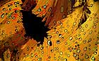 25-30 kb thumbnail JPG image of microphotograph by Doug Craft - links to larger image in right frame