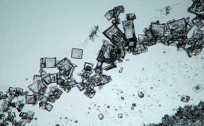 50 kb JPG microphoto of a precipitation crystal by Doug Craft