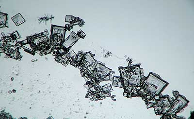 50 kb JPG microphoto of a precipitation crystal by Doug Craft