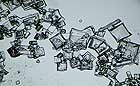 25-30 kb thumbnail JPG image of microphotograph by Doug Craft - links to larger image in right frame