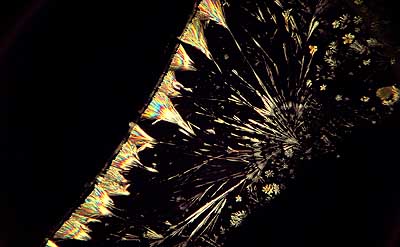 50 kb JPG microphoto of a precipitation crystal by Doug Craft